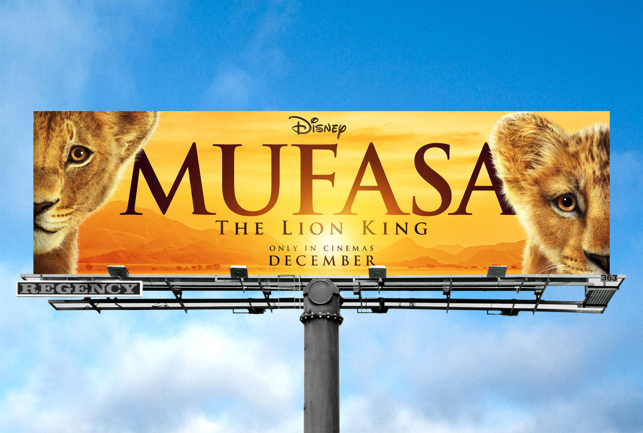 263_Wonderwall_14x48_ENV