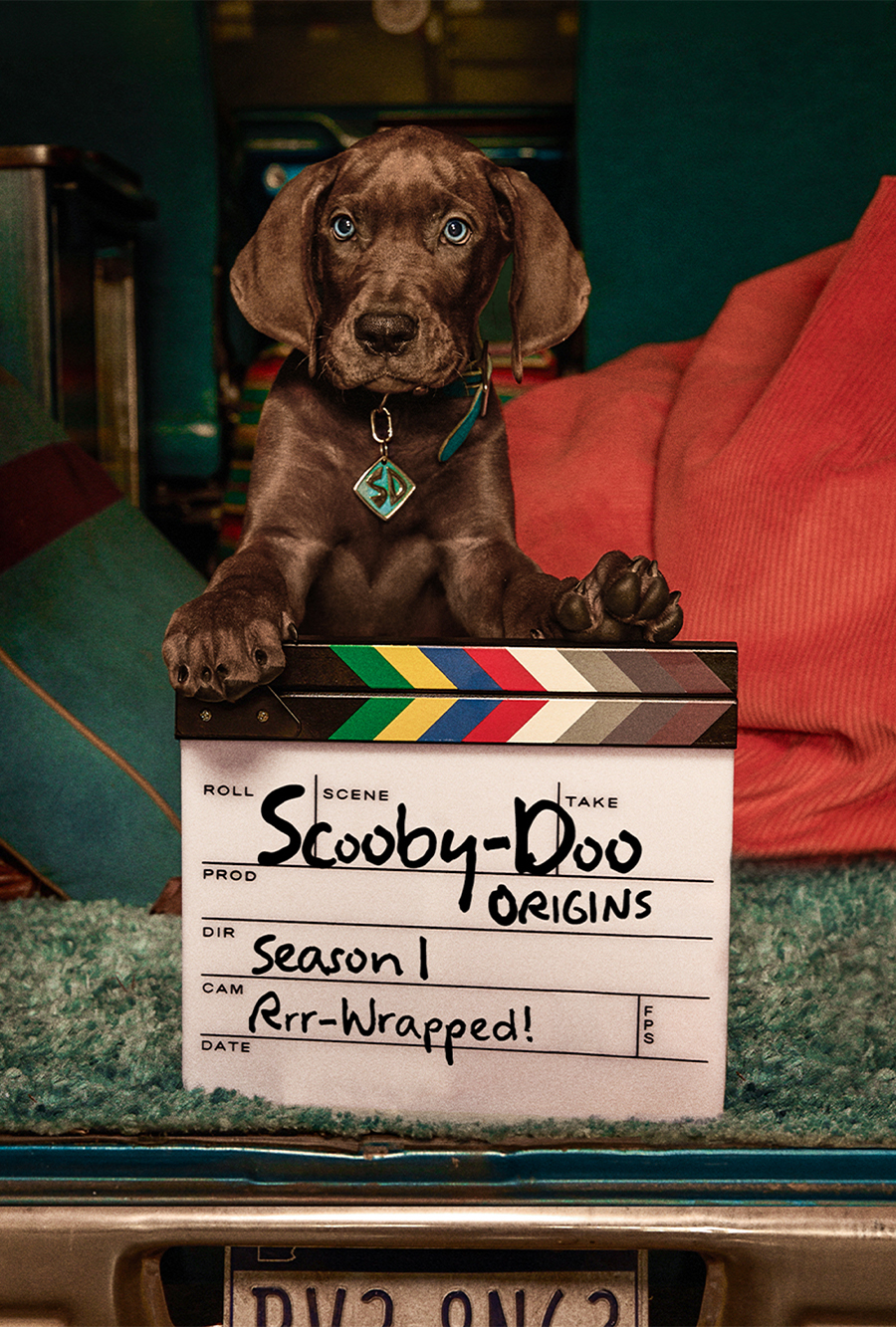 NET_ScoobyDooOrigin_WEB_900x1333